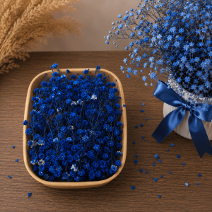Gypsophila albastru închis 20 grame