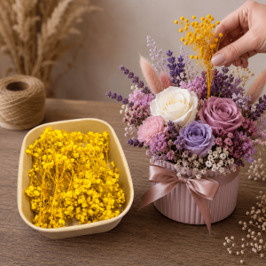 Gypsophila galbenă 20 grame