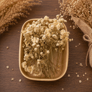 Gypsophila ivory-bej 20 grame