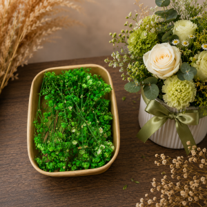 Gypsophila verde 20 grame